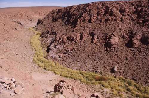 TREKKING NEL DESERTO DI ATACAMA 2015